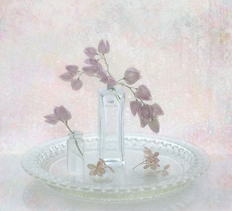 С клером фото превью