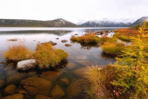 Красота северной осени