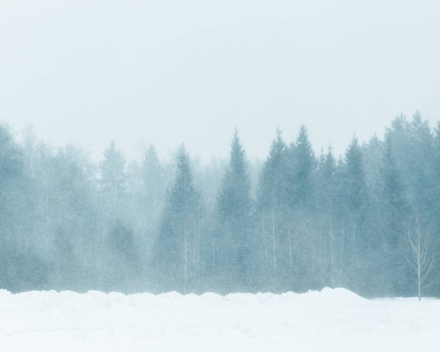 природа, март, ранняя весна, Московская область, пейзаж, снегопад, Мартыненко Дмитрий