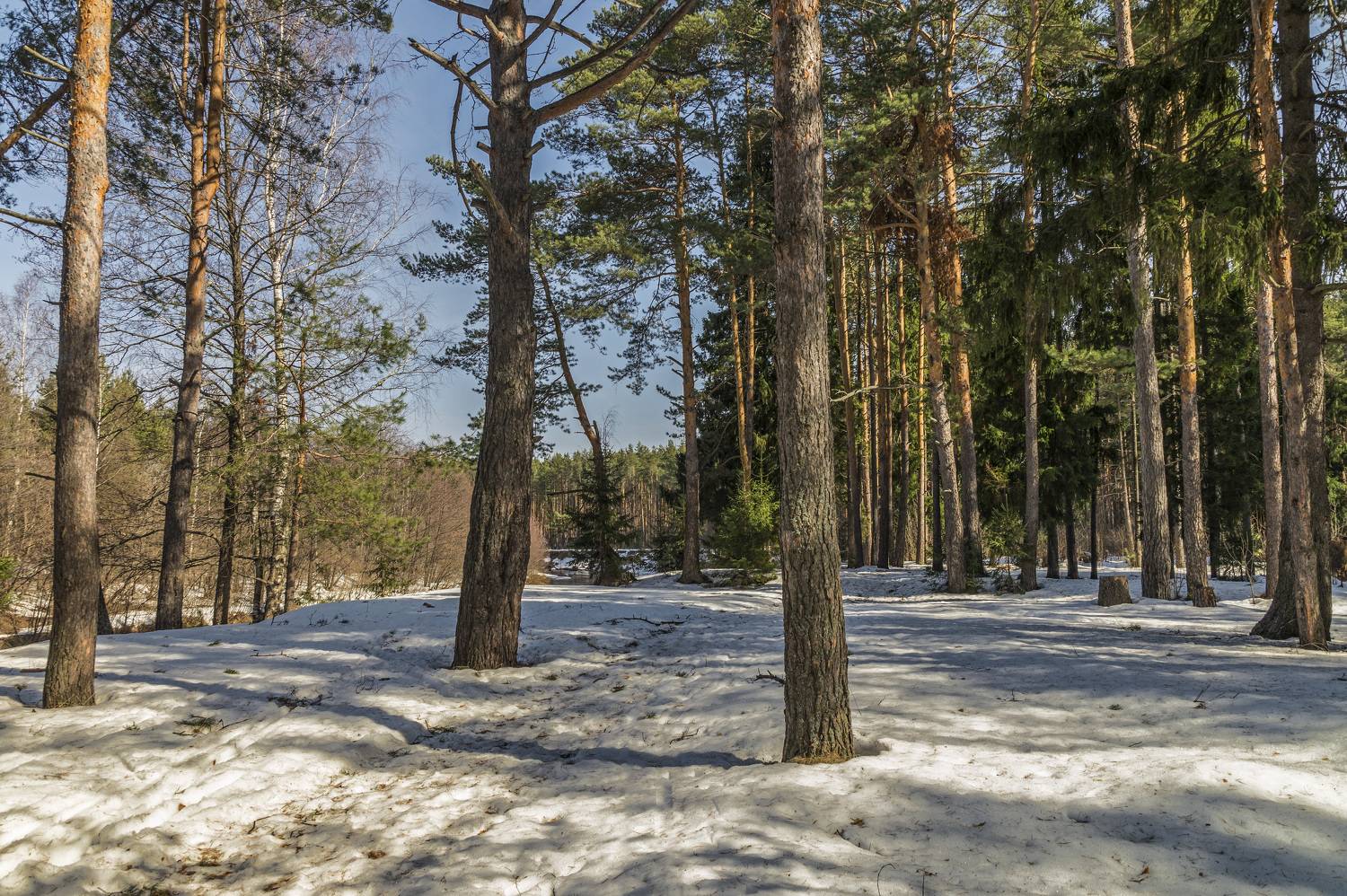 , Шитов Александр
