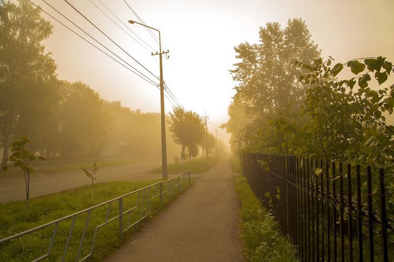 утро, туман, тротуар, улица Утро в городке. фото превью