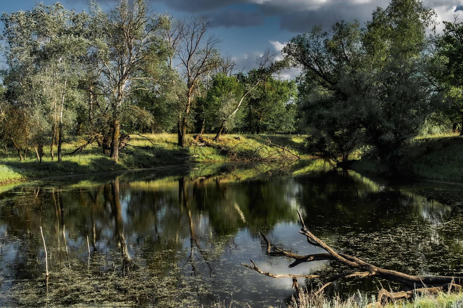 озеро, вода, пейзаж, природа, деревья, Vasilev Roman