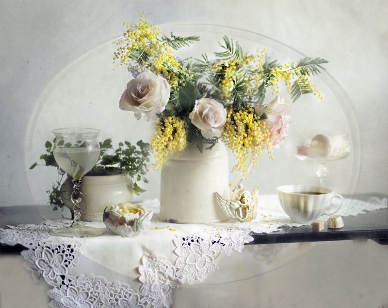 С мимозой фото превью