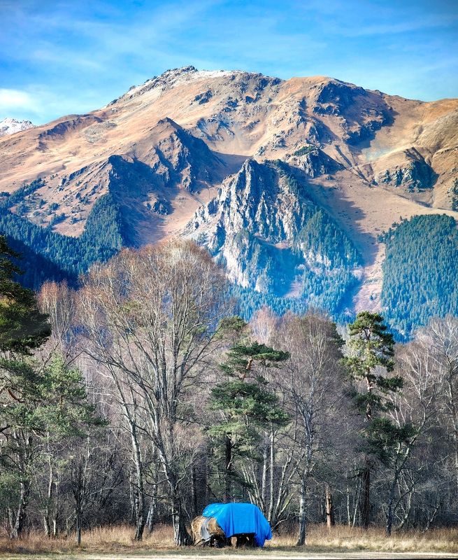 В ожидании первого снега фото превью