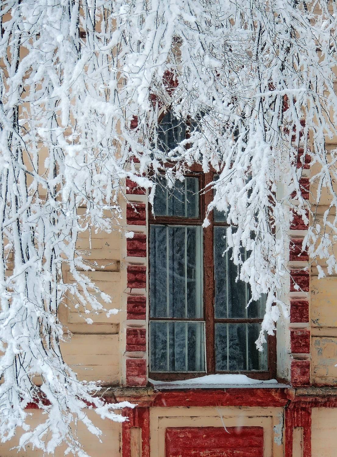 , Савоцкий Роман