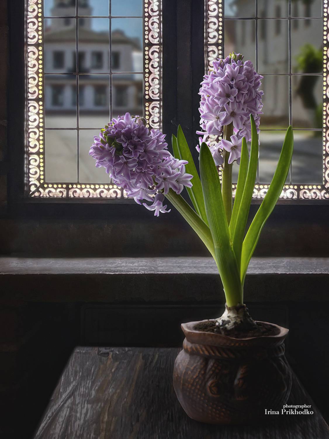натюрморт, цветы, гиацинт, интерьер, Приходько Ирина