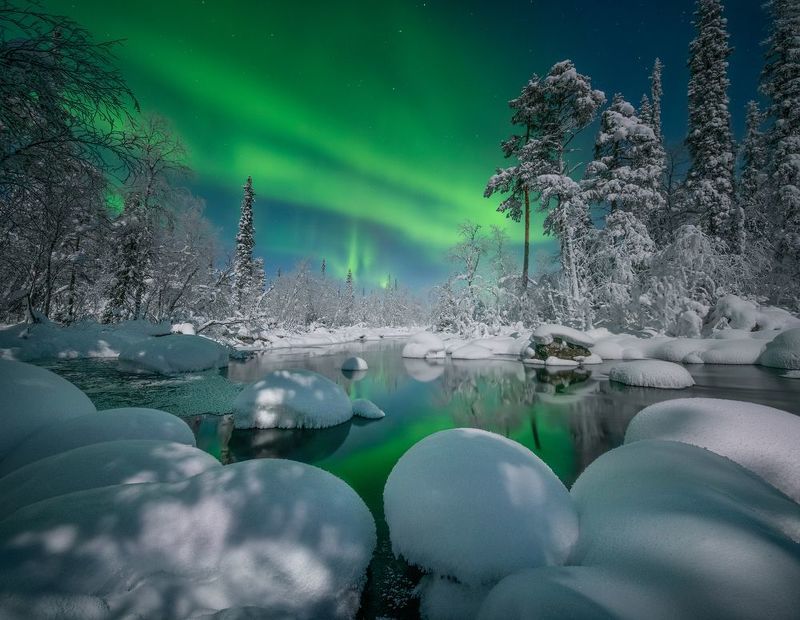 Зимний лес. фото превью