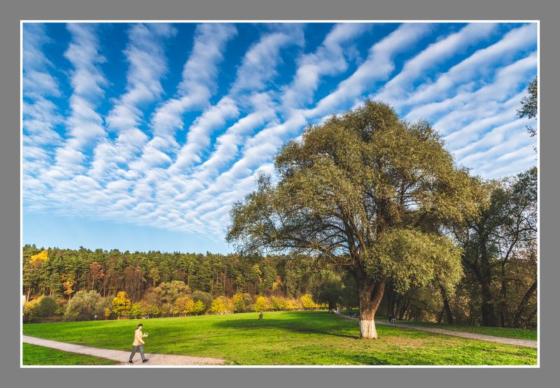 музей небо облака Барашковое небо  фото превью