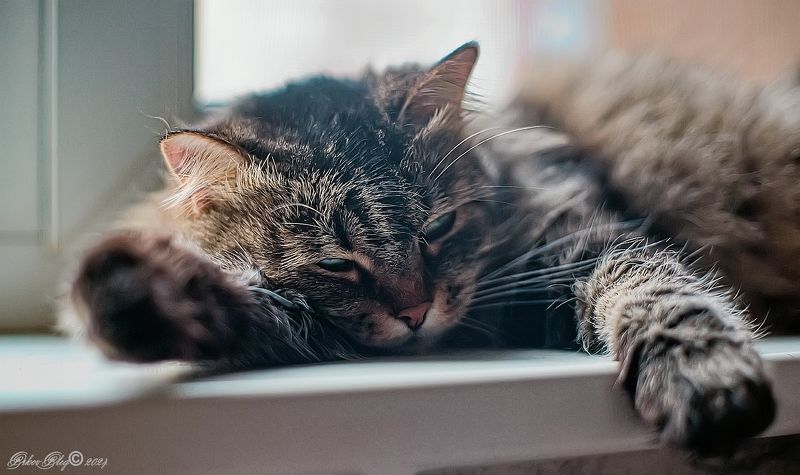 Нега.... фото превью