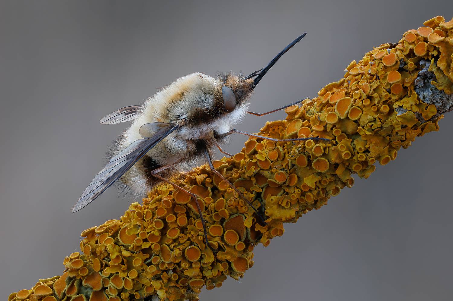 , Кузнецов Дмитрий