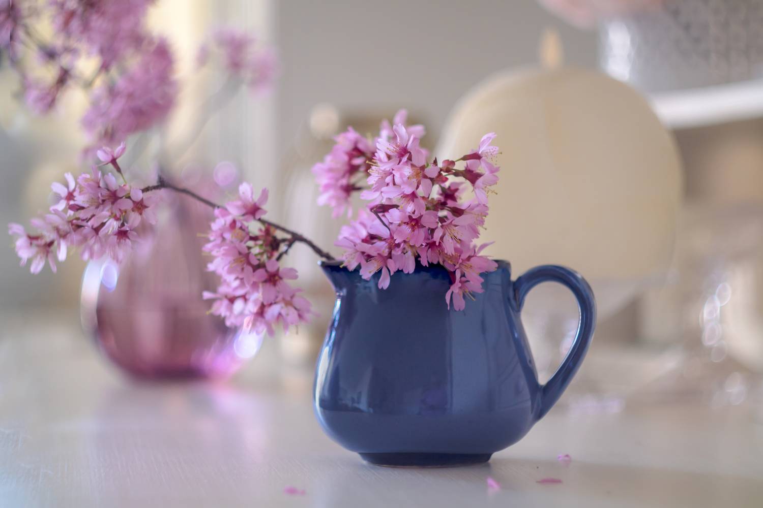 натюрморт,декор,ваза,кувшин,весна,макро,цветы,флора,сакура,лепестки,антонина яновска,canon eos m50,, Антонина Яновска
