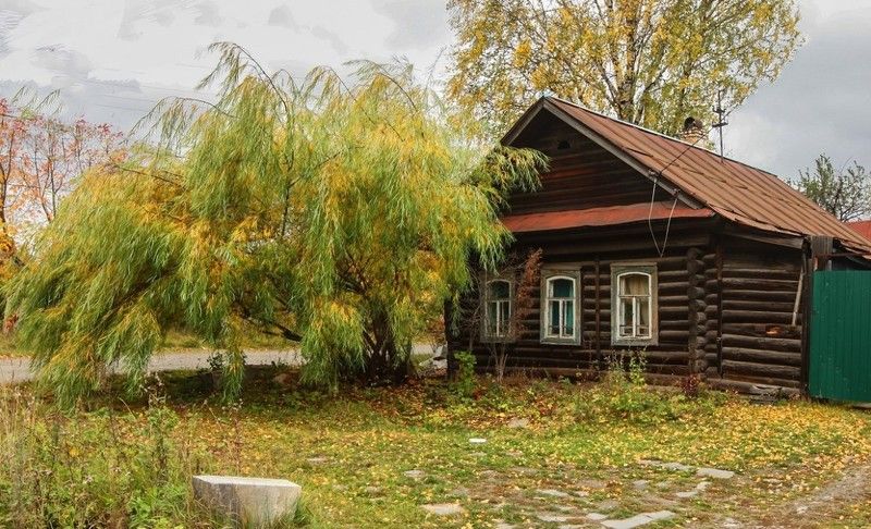 Плакучая ива... фото превью