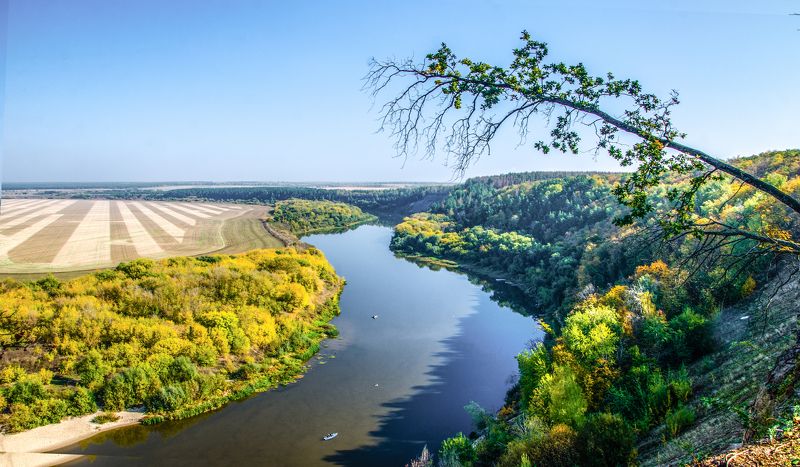 Кривоборье фото превью
