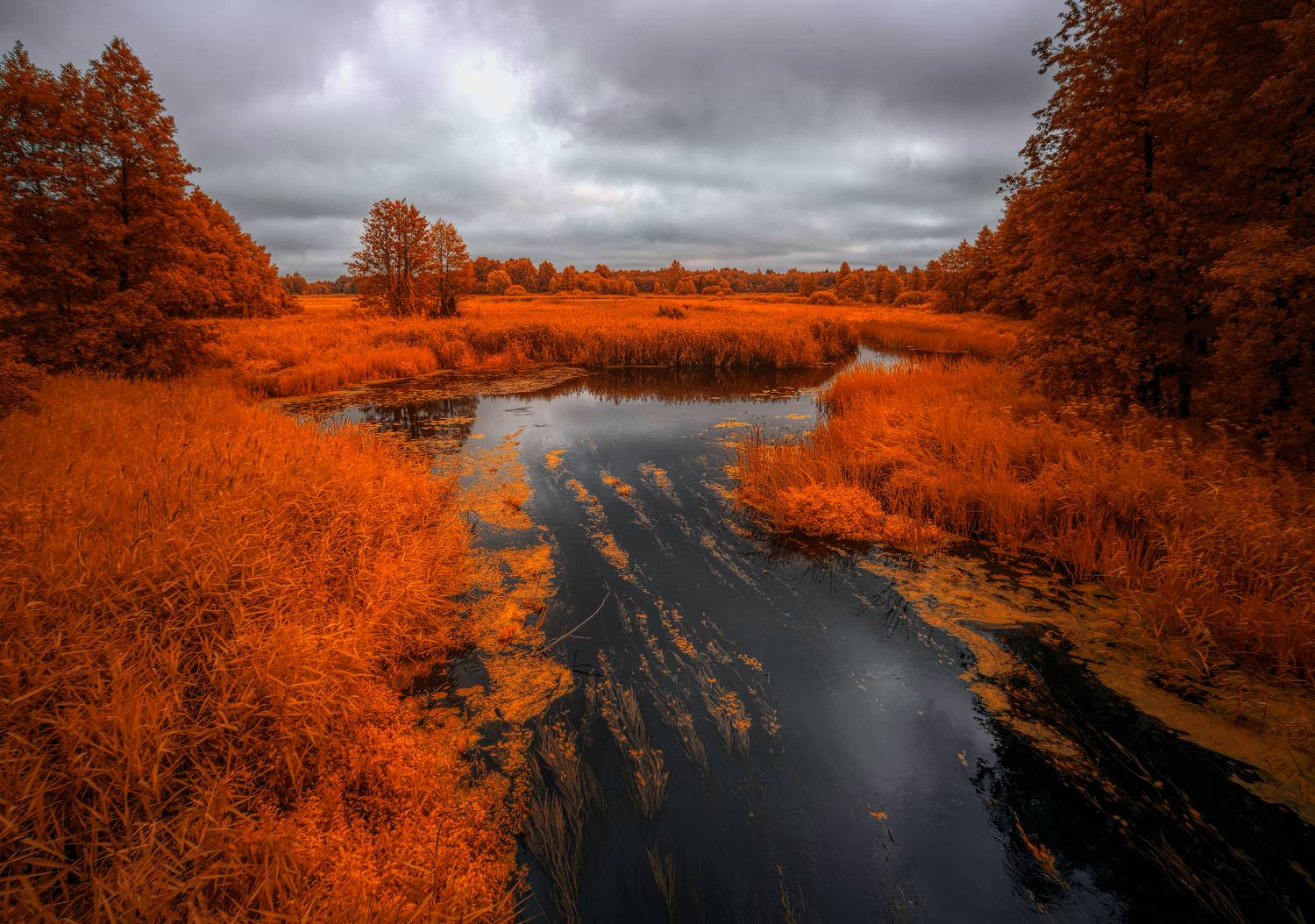 infrared,ик-фото,инфракрасное фото, инфракрасная фотография, пейзаж, лето,  Sixten (Сергей)