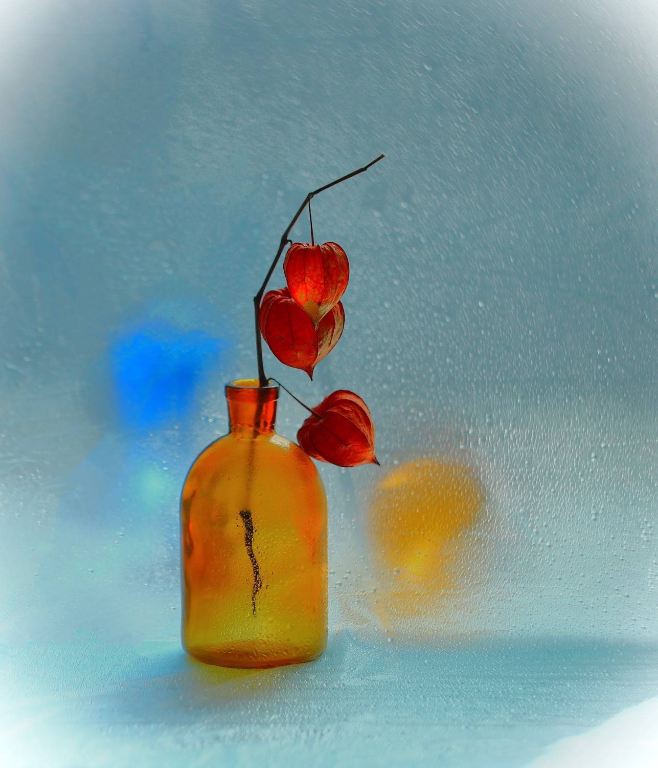 , Людмила Хрусталева*