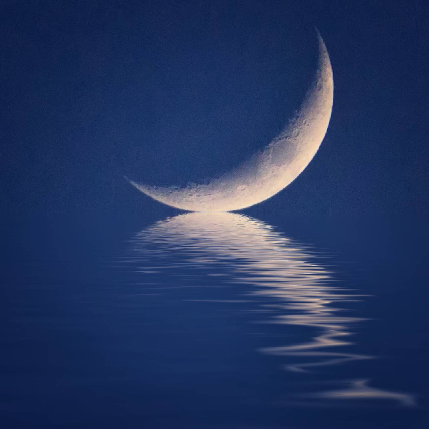 , Мариана Добрева