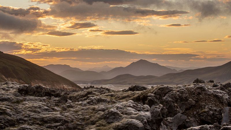 Серый мох Ландманналаугара фото превью