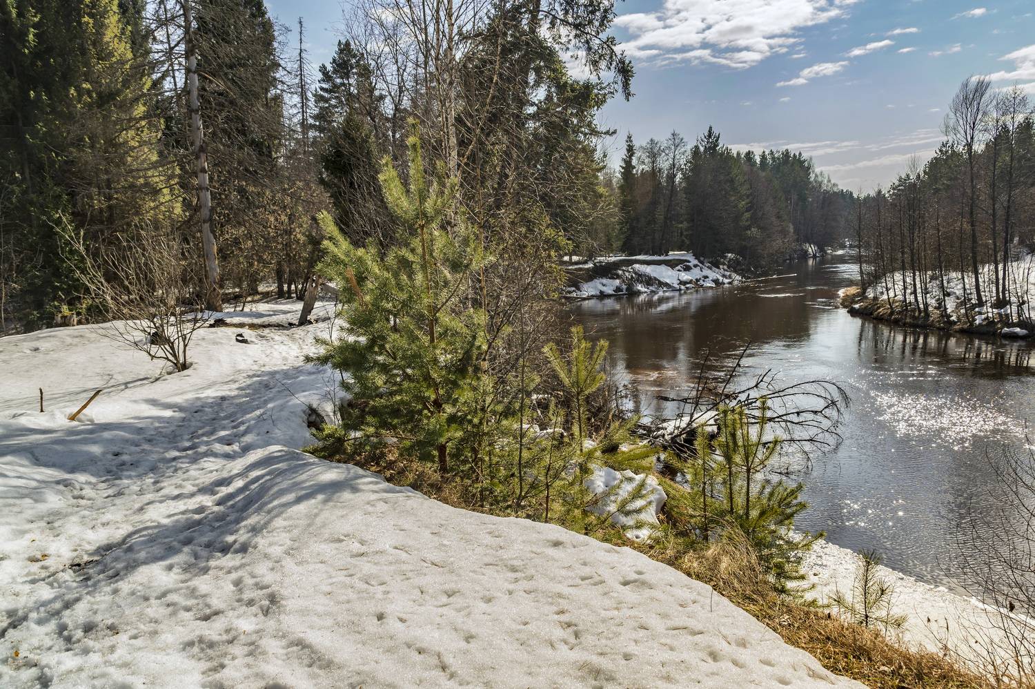 , Шитов Александр