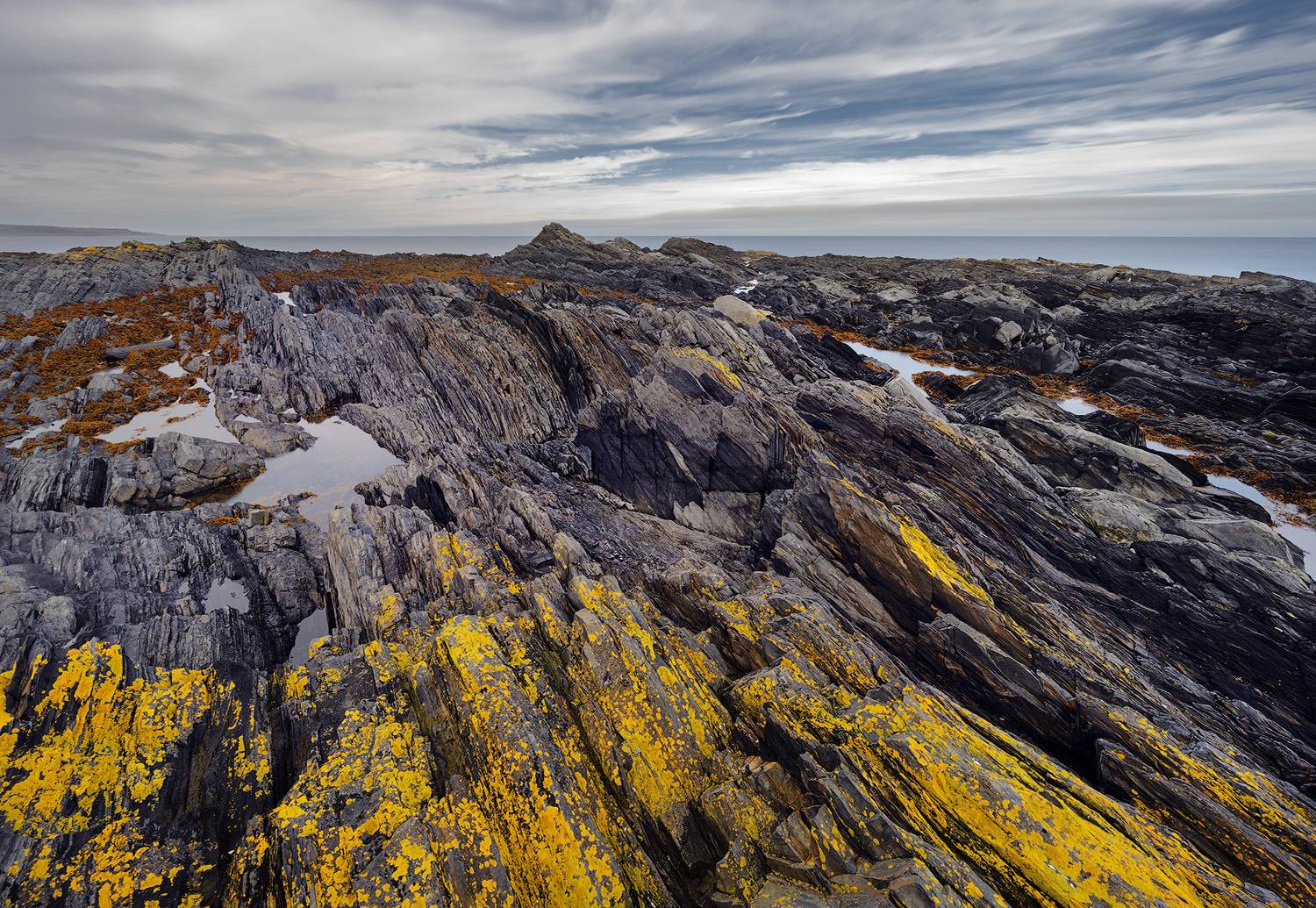 , Андрей Родионов