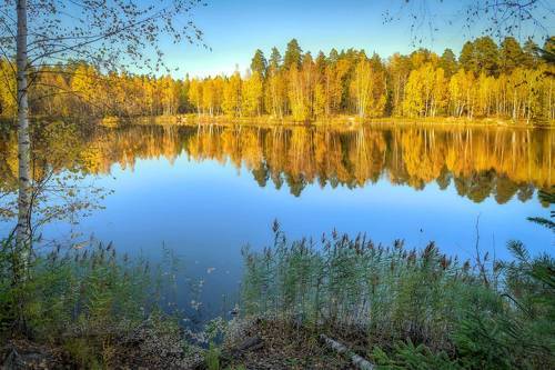 Золотая осень