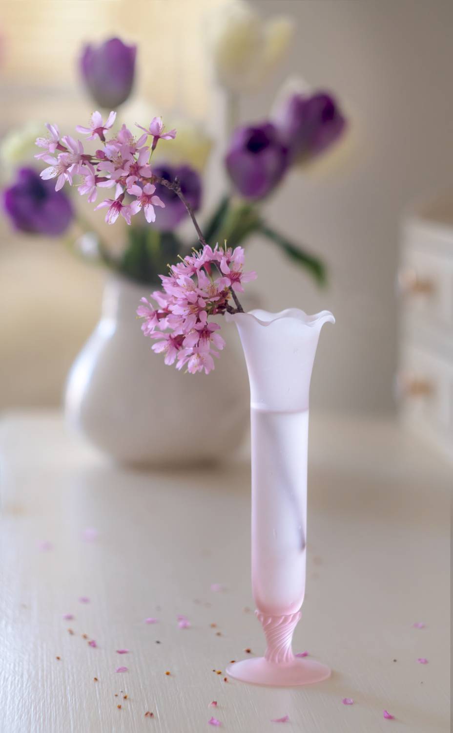 натюрморт,декор,ваза,кувшин,весна,макро,цветы,флора,сакура,лепестки,антонина яновска,сanon eos m50,, Антонина Яновска