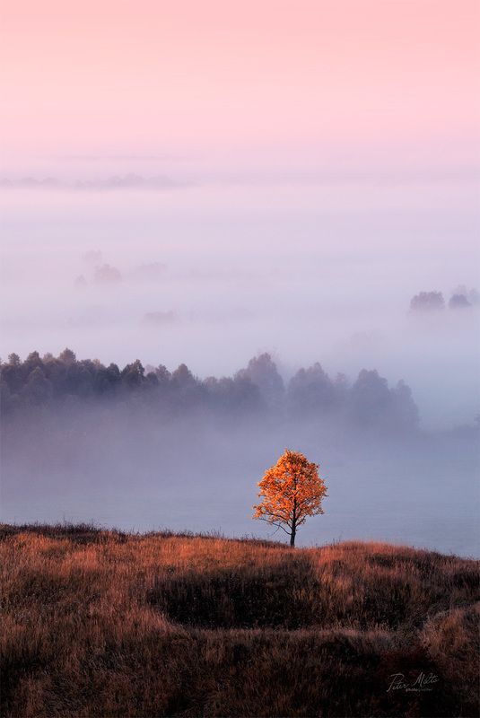 На пороге осени фото превью