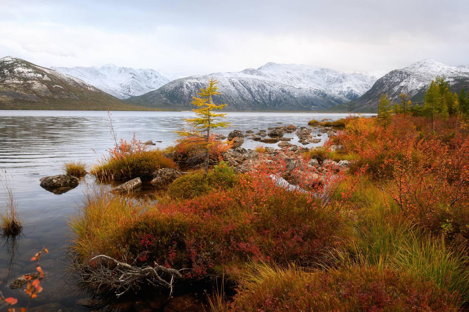 колыма, озеро джека лондона, золотая осень, магаданская область, Юлия Лаптева