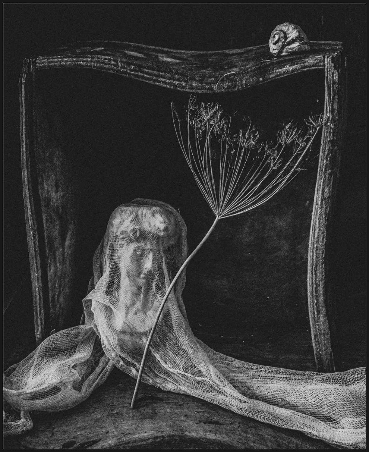 , Хромеев Александр