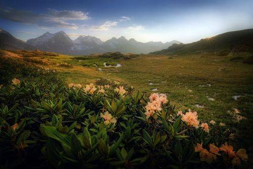 В горах Кавказа