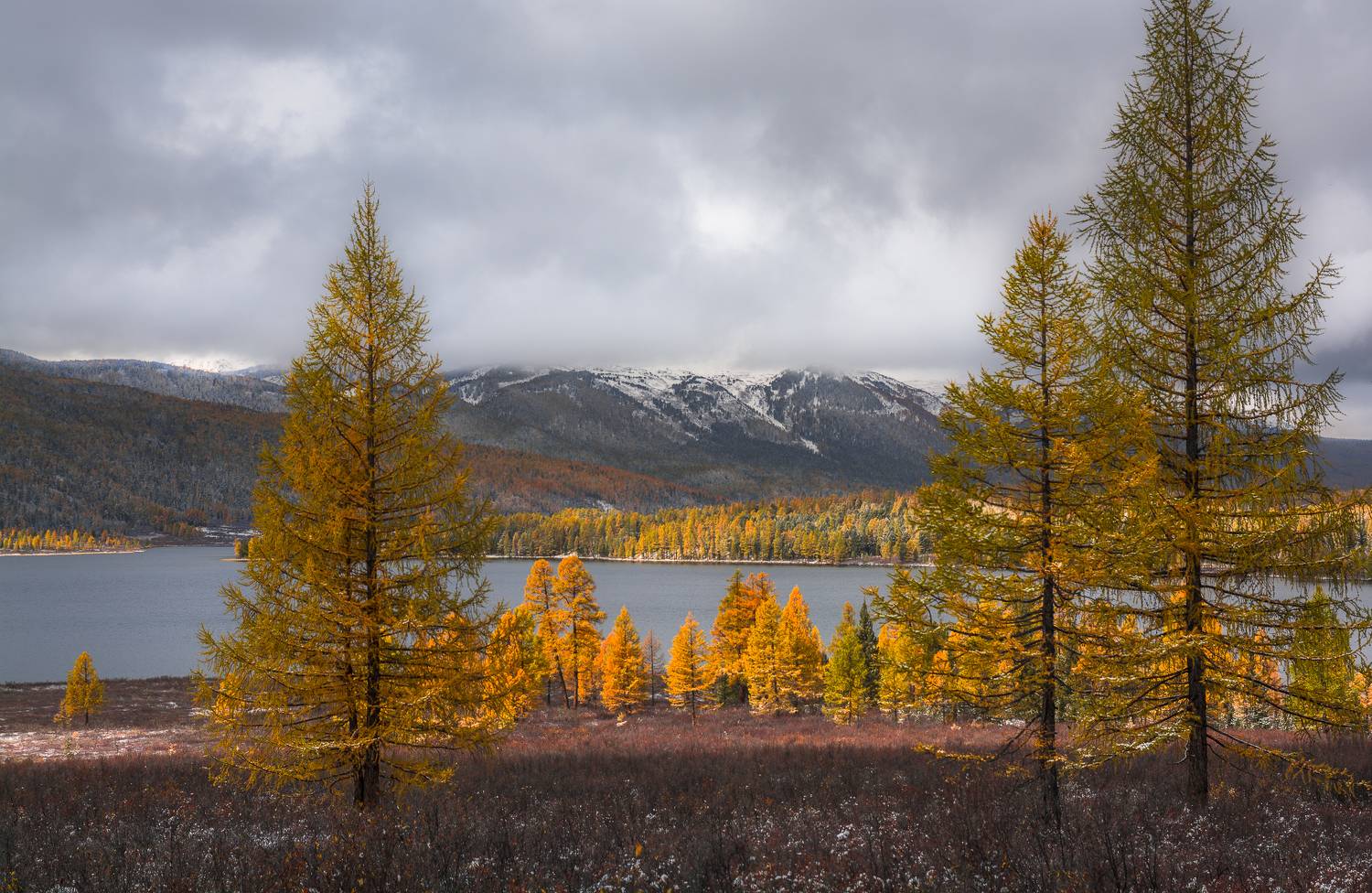 россия, горный алтай,осень, Андрей Поляков