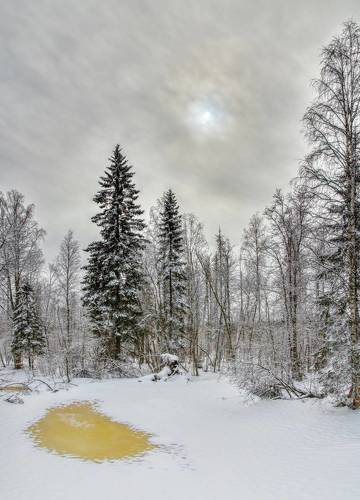 Пасмурный день в начале весны