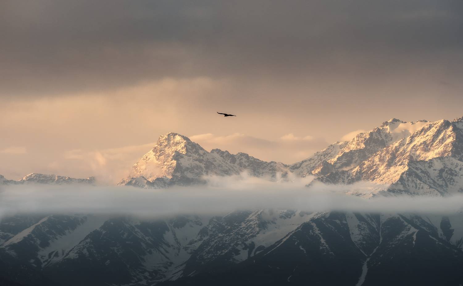 , Мозжухин Максим