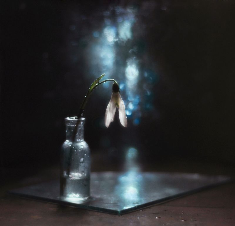 Глубина молчания фото превью