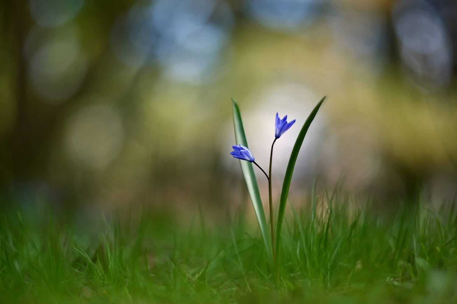 , Колобошников Эдуард