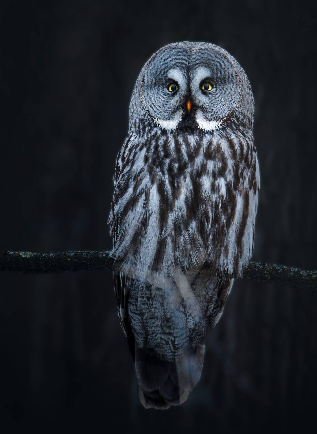 , Фото Александр