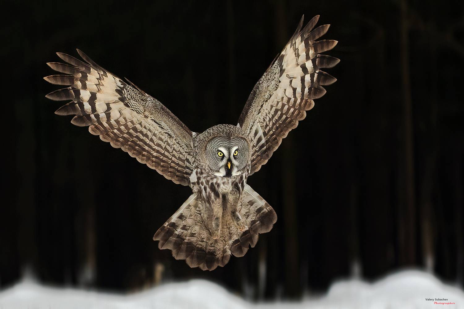 , Валерий Субачев