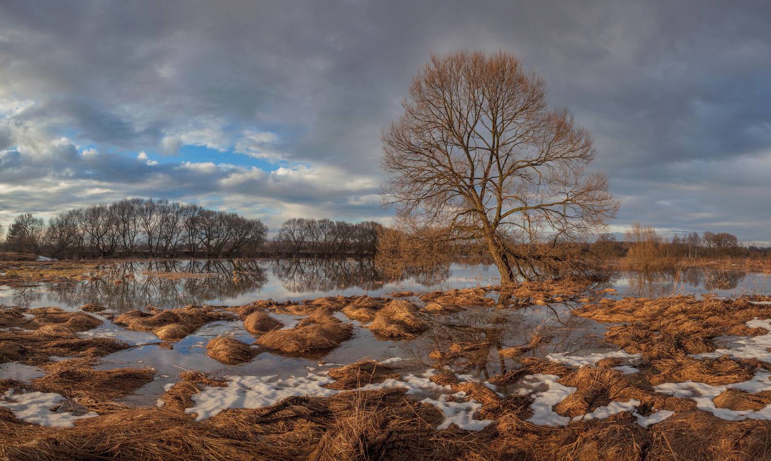 весна, река, Свистков Александр