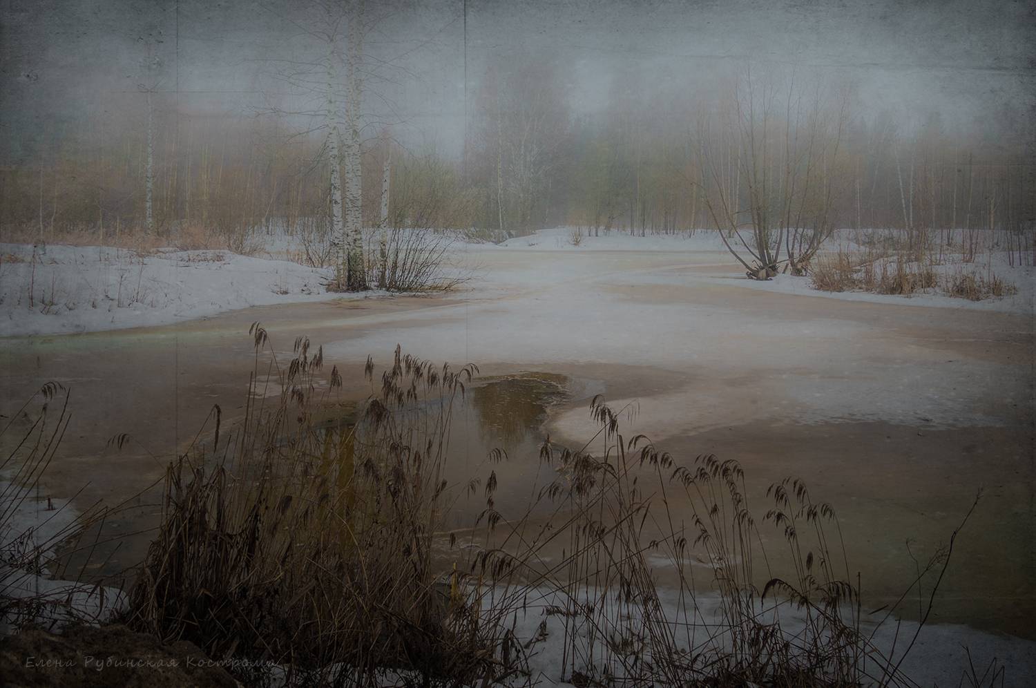 , Елена Рубинская