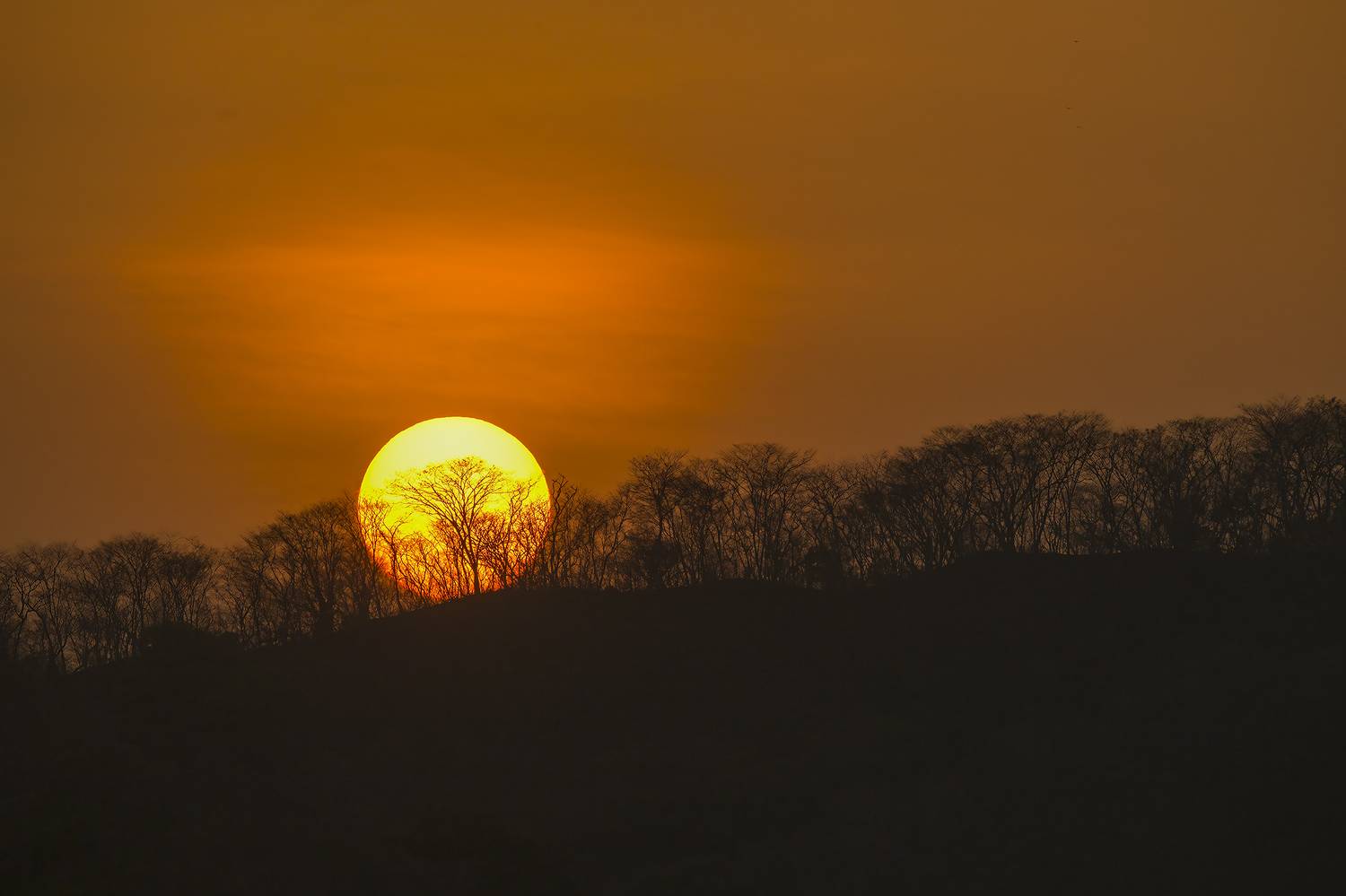 , Burgalin Sequeira Fernando