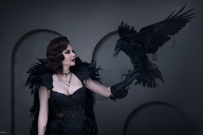 ворон, портрет Dark Snowwhite фото превью
