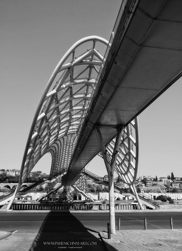 архитектура, мост, современная архитектура, параметрика, оболочка, свет, тбилиси, городской пейзаж Под панцирем фото превью