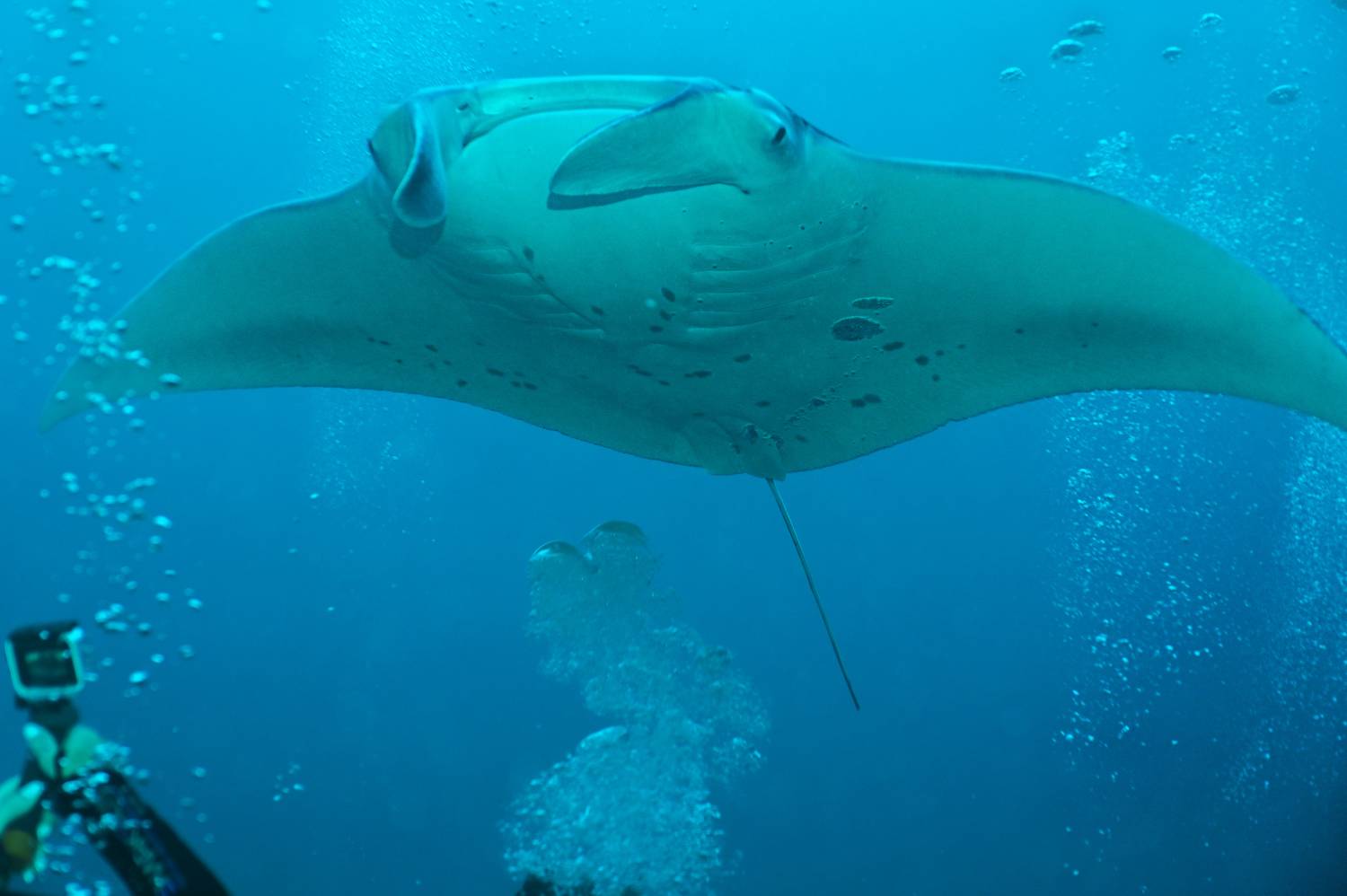 , Валерий Одинцов