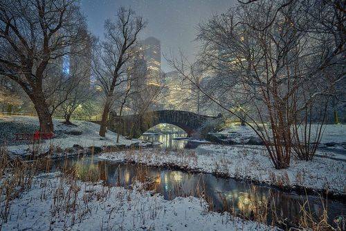 Gapstow Bridge over the Pond, with view of Central Park South buildings