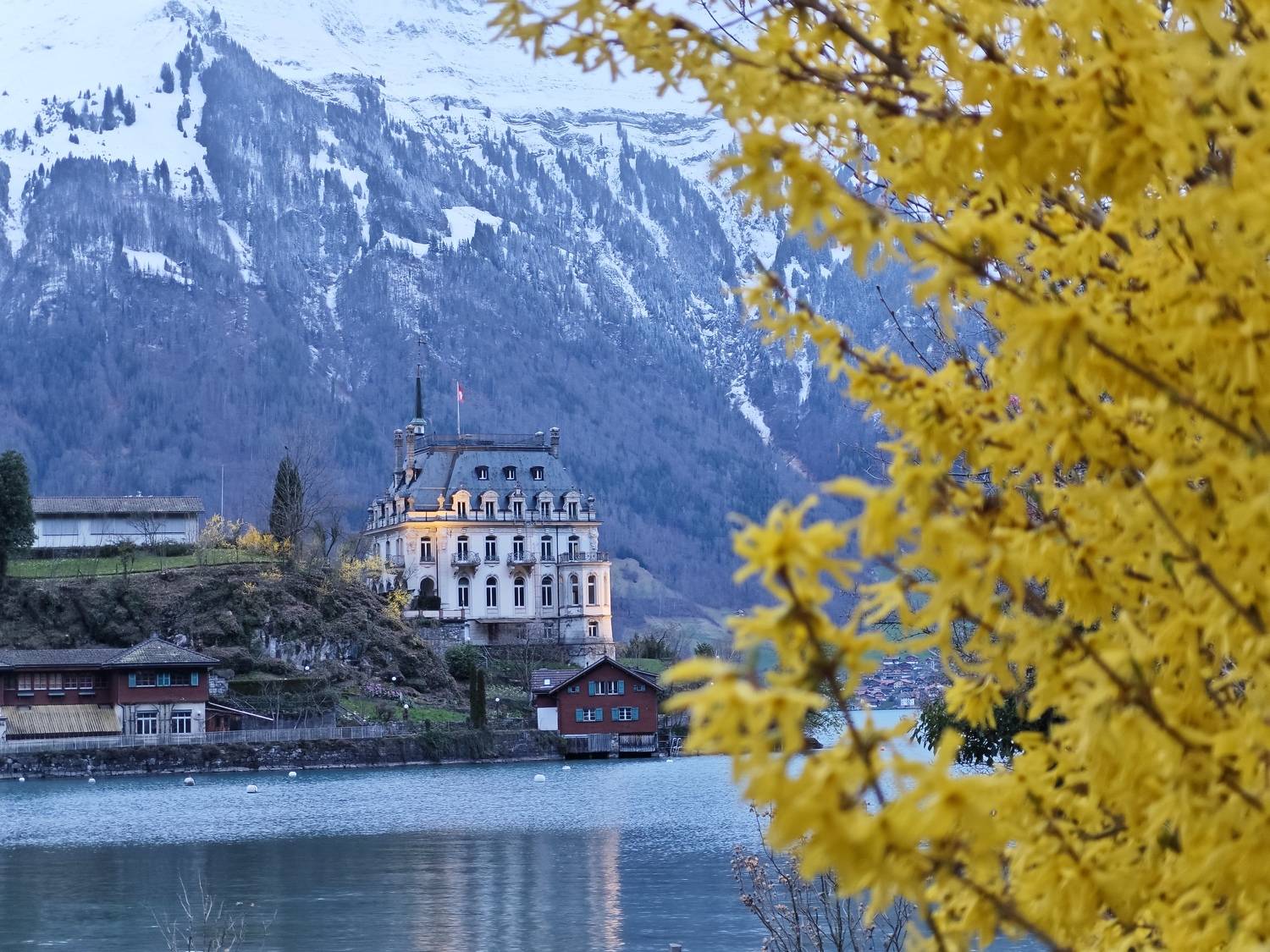 , Ольга Гордиенко