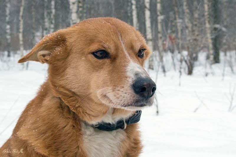 Страшно...и приятно... фото превью