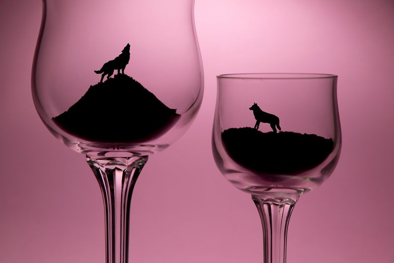 Wolves фото превью