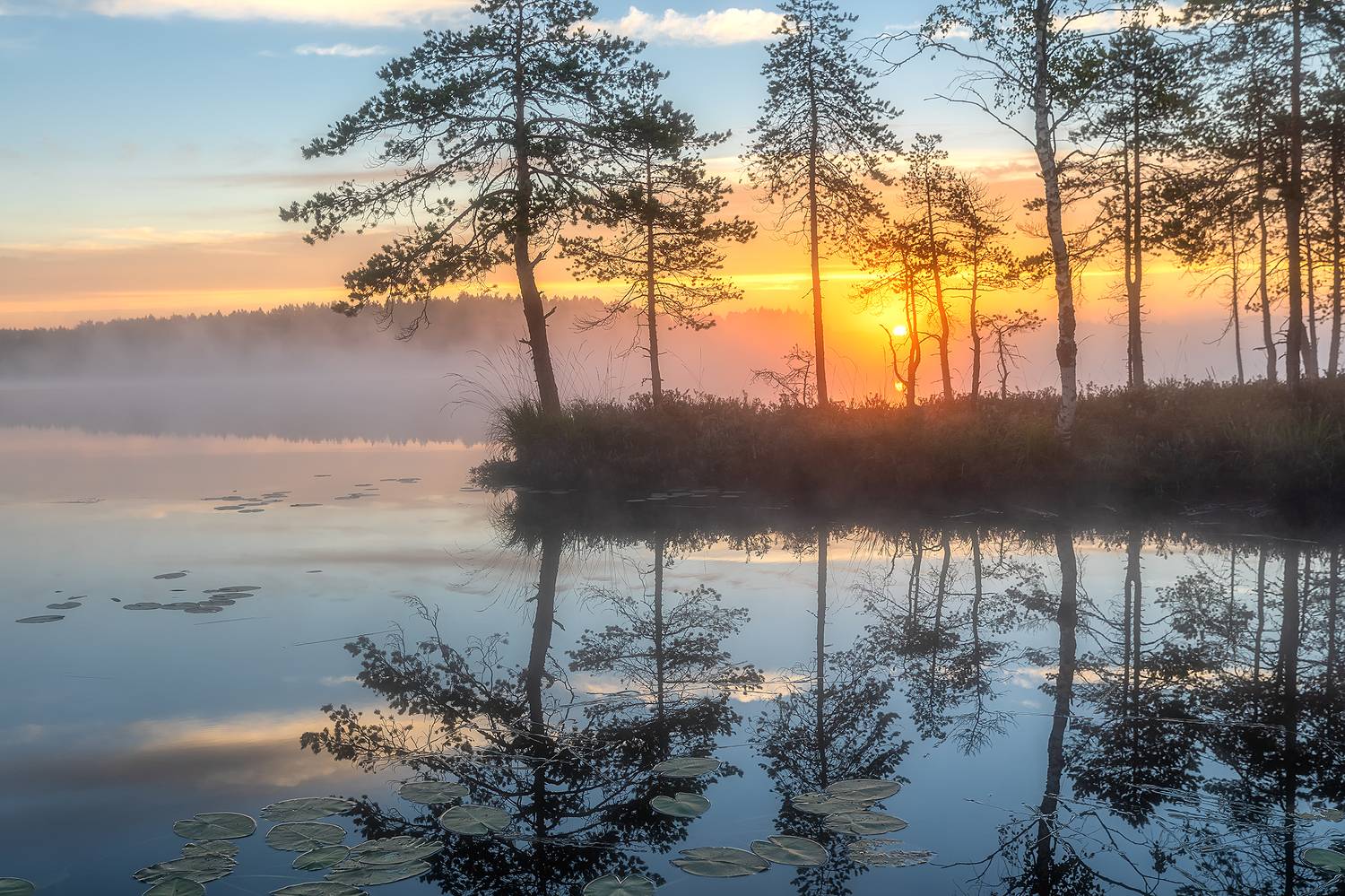 , Александр Пашеничев