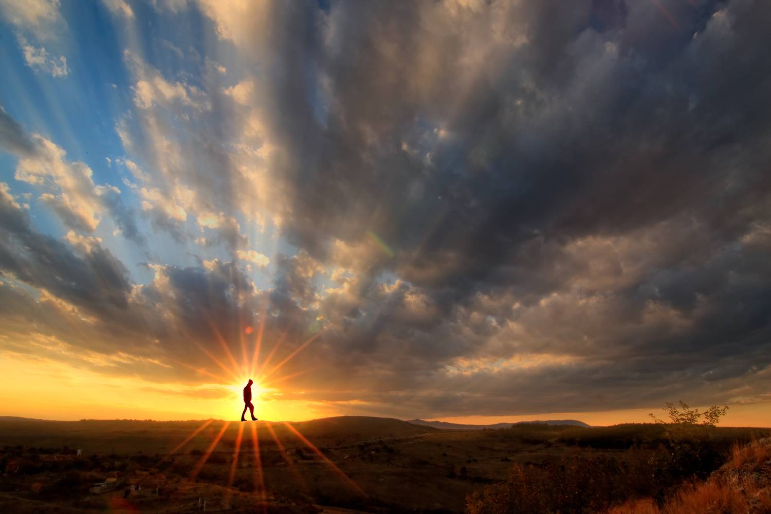 , Мариана Добрева