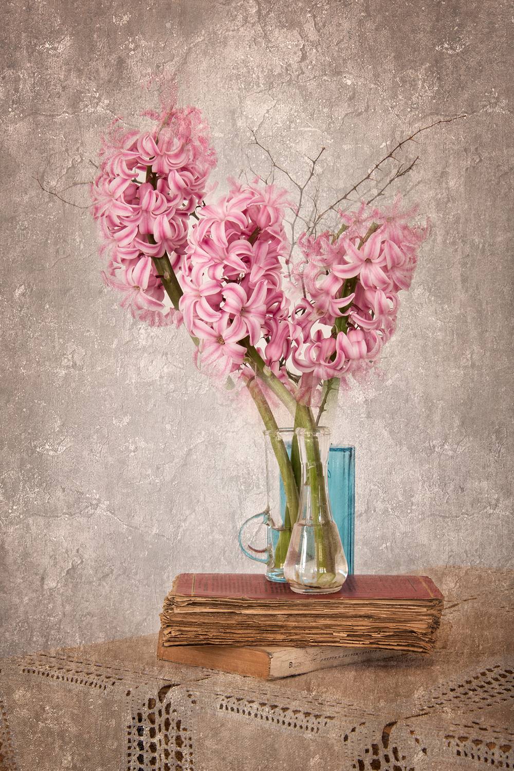 book, books, color, colors, concept, conceptual, digital, digital art, editing, flower, flowers, hyacinth, nature, photography, pink, plant, plants, still life,, Dr Didi Baev