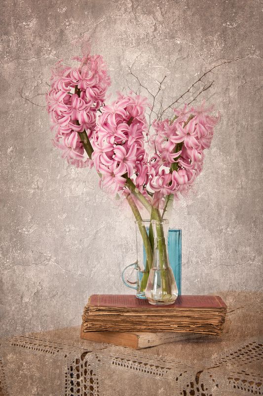 book, books, color, colors, concept, conceptual, digital, digital art, editing, flower, flowers, hyacinth, nature, photography, pink, plant, plants, still life, Гиацинт Натюрморт / Hyacinth Still Life фото превью